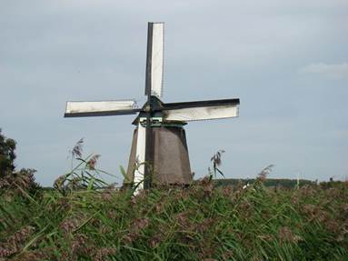 Descripci�n: DSC05646